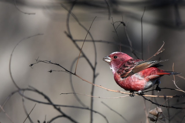 �I�I�}�V�R