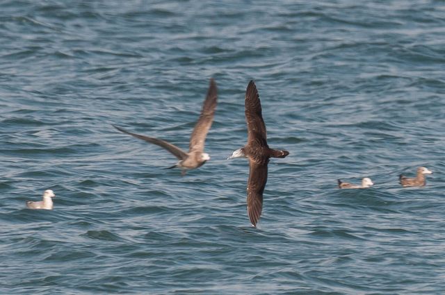 �I�I�~�Y�i�M�h��