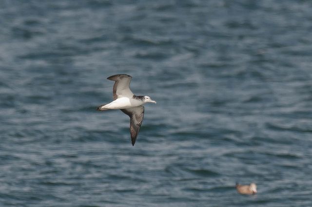 �I�I�~�Y�i�M�h��