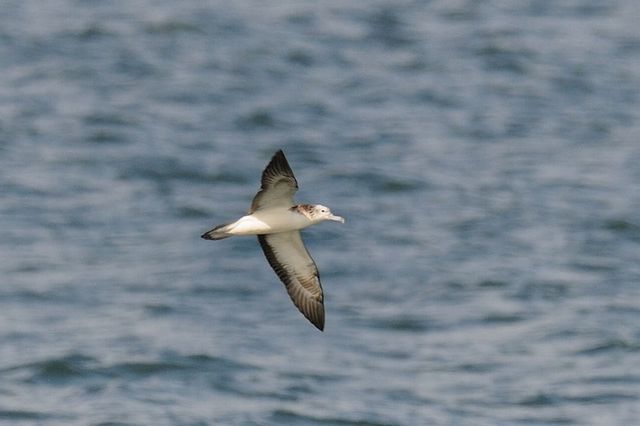 �I�I�~�Y�i�M�h��