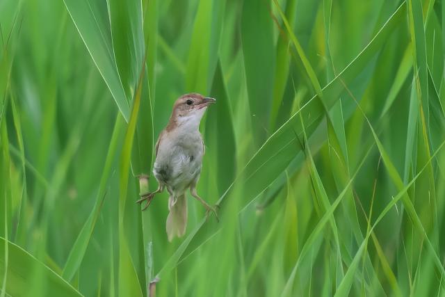 �I�I�Z�b�J