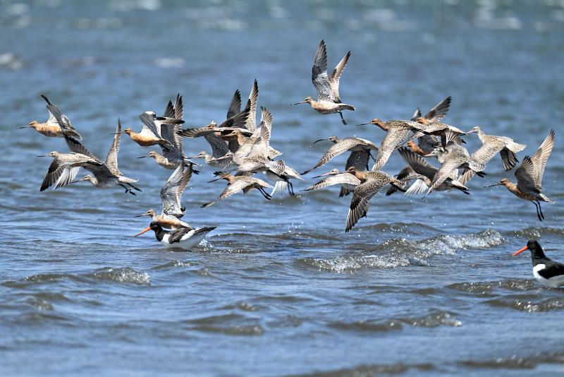 �I�I�\���n�V�V�M