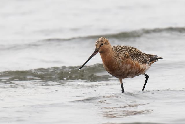 �I�I�\���n�V�V�M