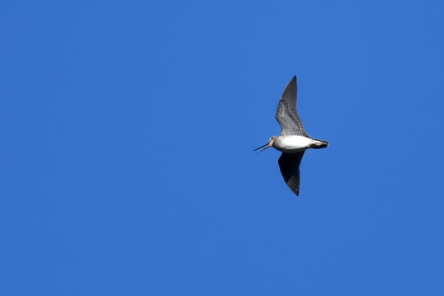 �I�I�W�V�M