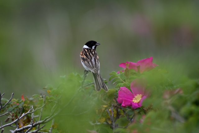 �I�I�W������