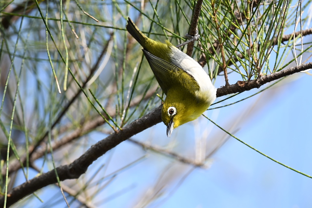 �����E�L���E���W��