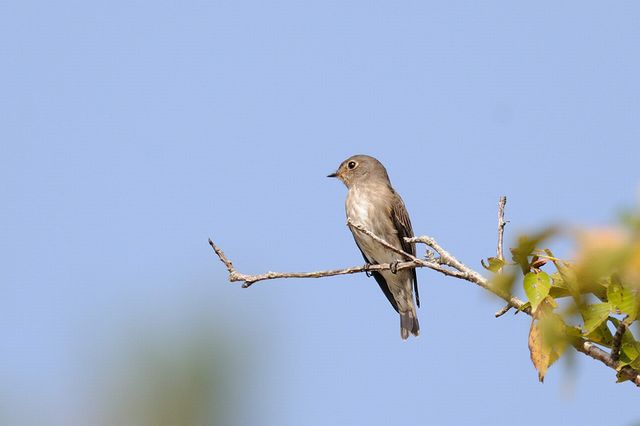 �T���r�^�L