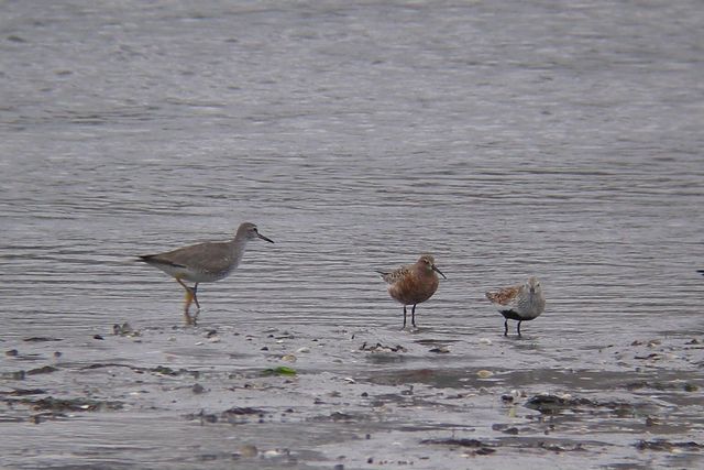 ������L�A�V�V�M�@�T���n�}�V�M�@�n�}�V�M