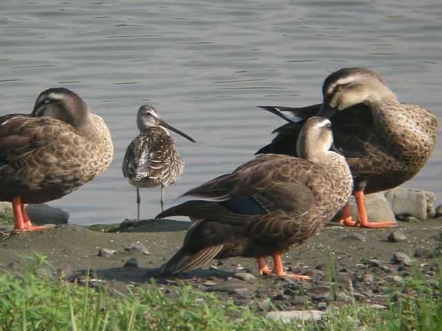 �V�x���A�I�I�n�V�V�M