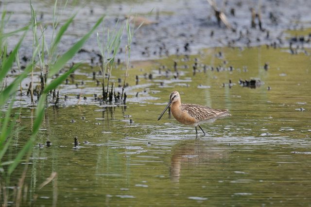 �V�x���A�I�I�n�V�V�M