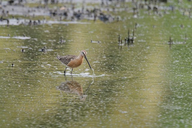 �V�x���A�I�I�n�V�V�M