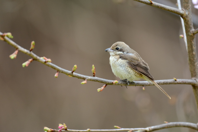 �V�}�A�J���Y