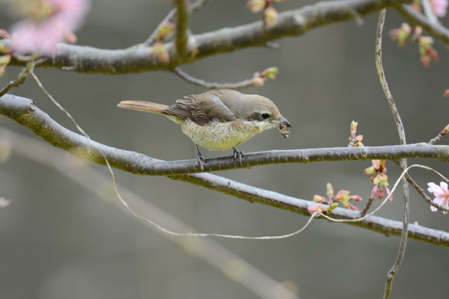 �V�}�A�J���Y