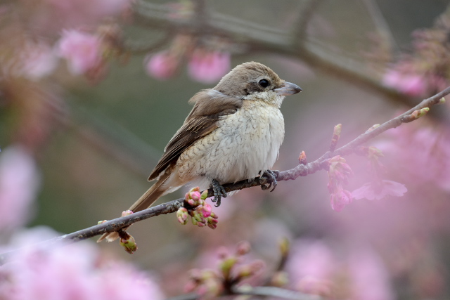 �V�}�A�J���Y