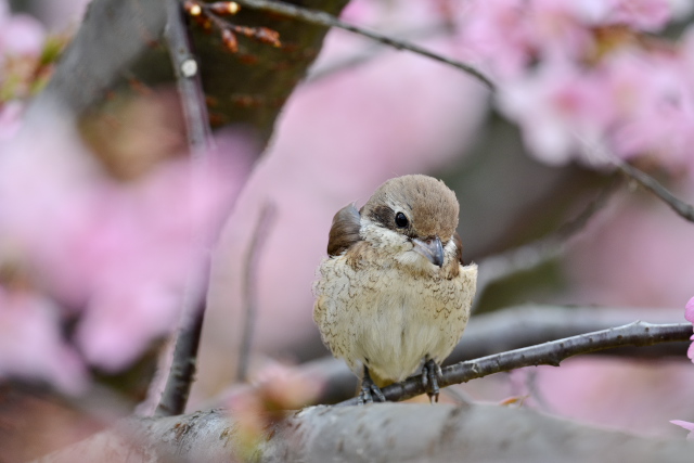 �V�}�A�J���Y