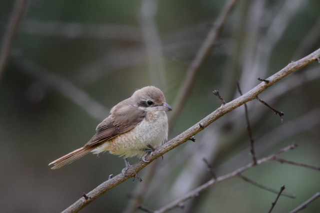 �V�}�A�J���Y