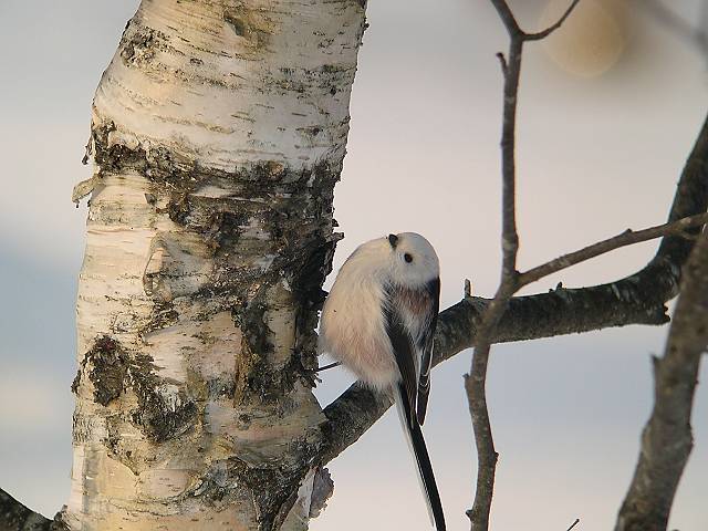 �V�}�G�i�K