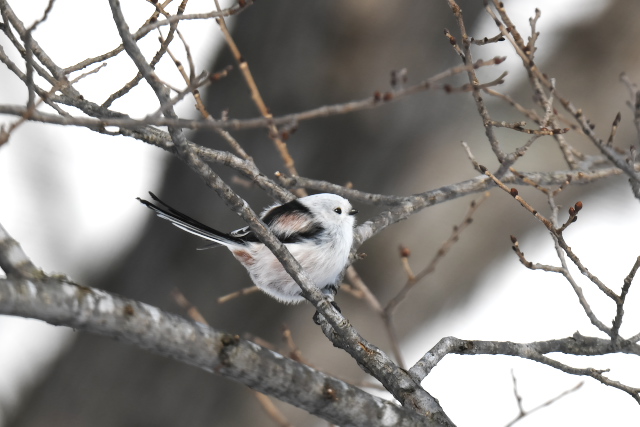 �V�}�G�i�K