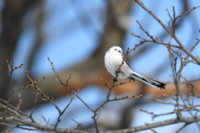 �V�}�G�i�K