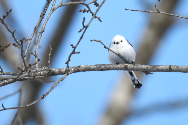 �V�}�G�i�K