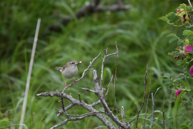 �V�}�Z���j���E