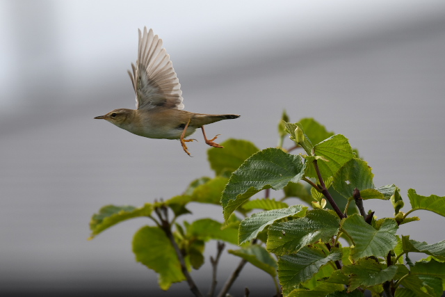 �V�}�Z���j���E