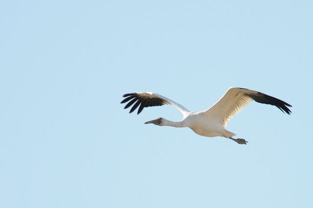 �\�f�O���d��