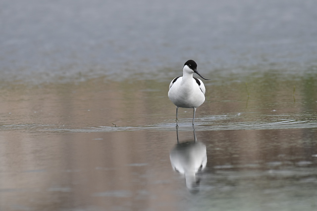 �\���n�V�Z�C�^�J�V�M