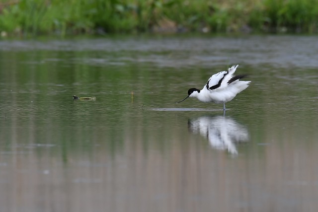 �\���n�V�Z�C�^�J�V�M