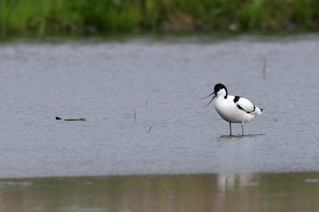 �\���n�V�Z�C�^�J�V�M