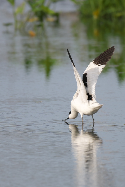 �\���n�V�Z�C�^�J�V�M