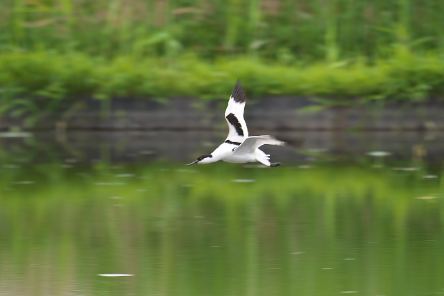 �\���n�V�Z�C�^�J�V�M