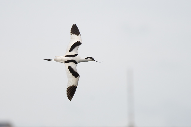 �\���n�V�Z�C�^�J�V�M