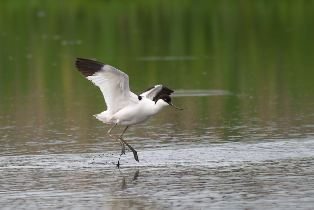 �\���n�V�Z�C�^�J�V�M