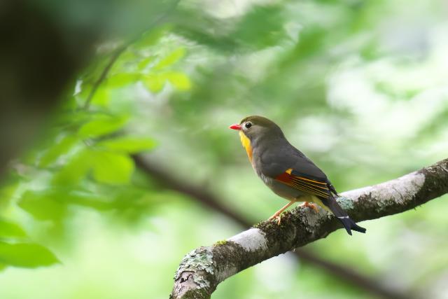 �\�E�V�`���E