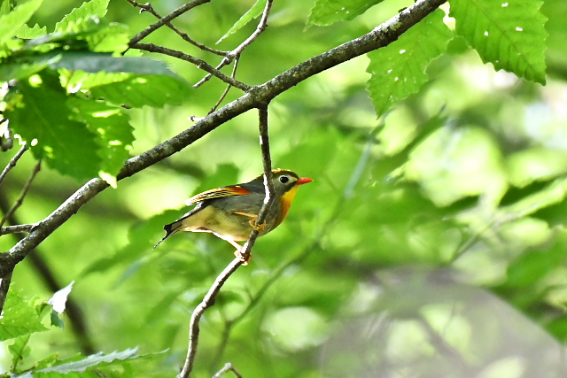 �\�E�V�`���E