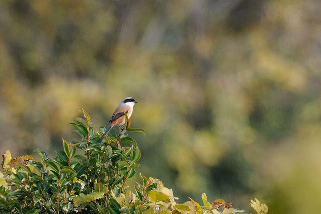 �^�J�T�S���Y