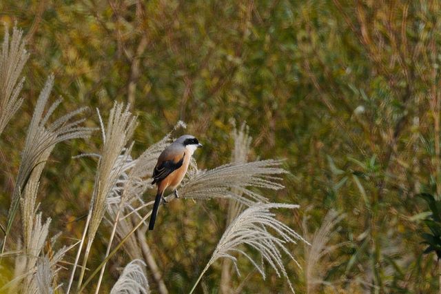 �^�J�T�S���Y