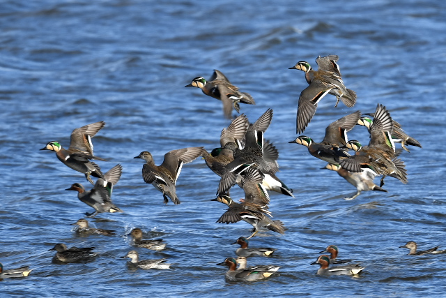 �g���G�K��