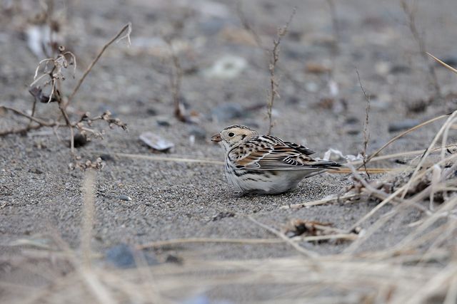 �c���i�K�z�I�W��