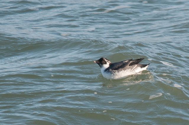 �E�~�X�Y��