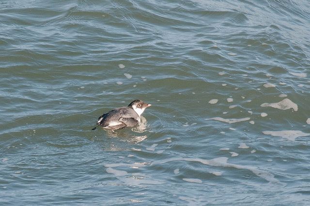 �E�~�X�Y��