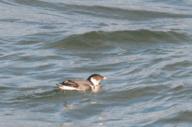 �E�~�X�Y��