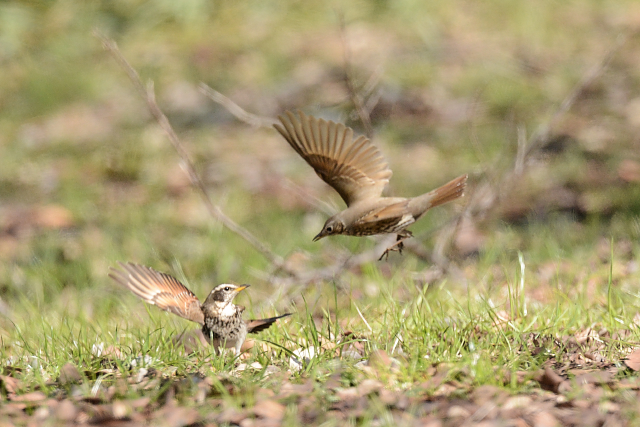 �E�^�c�O�~