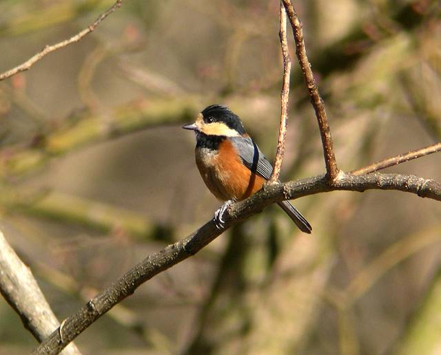 ���}�K��