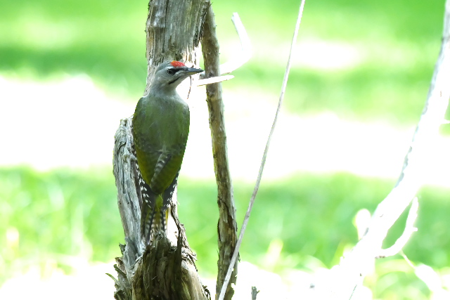 ���}�Q��