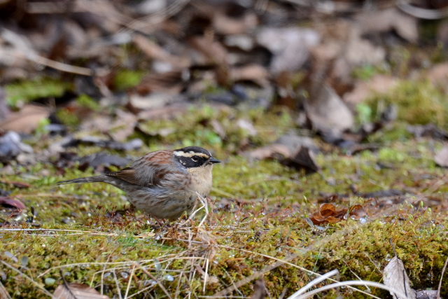 ���}�q�o��