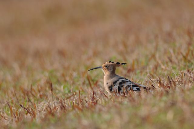 ���c�K�V��