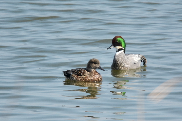 ���V�K��