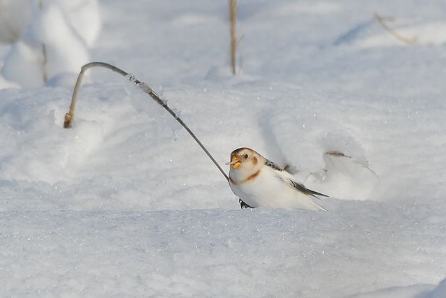 ���L�z�I�W��